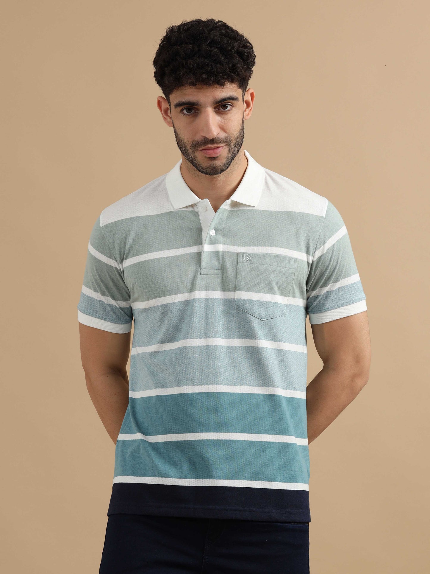 Blue Polo Striped T Shirt