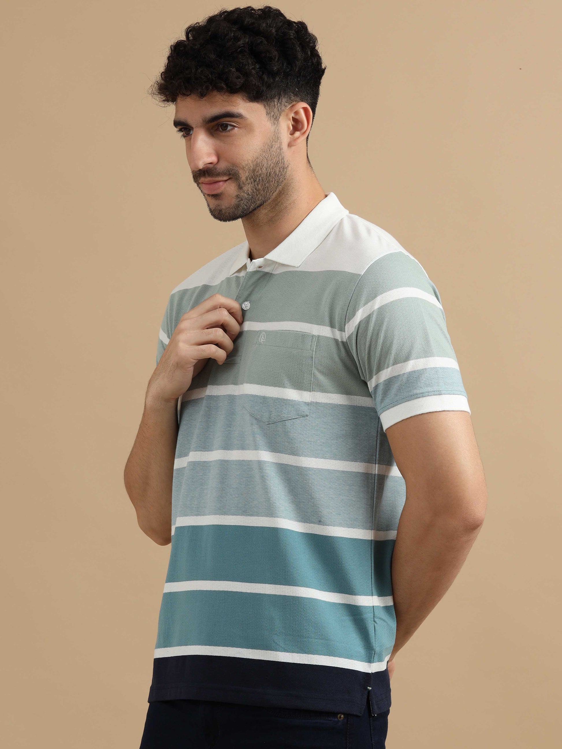 Blue Polo Striped T Shirt