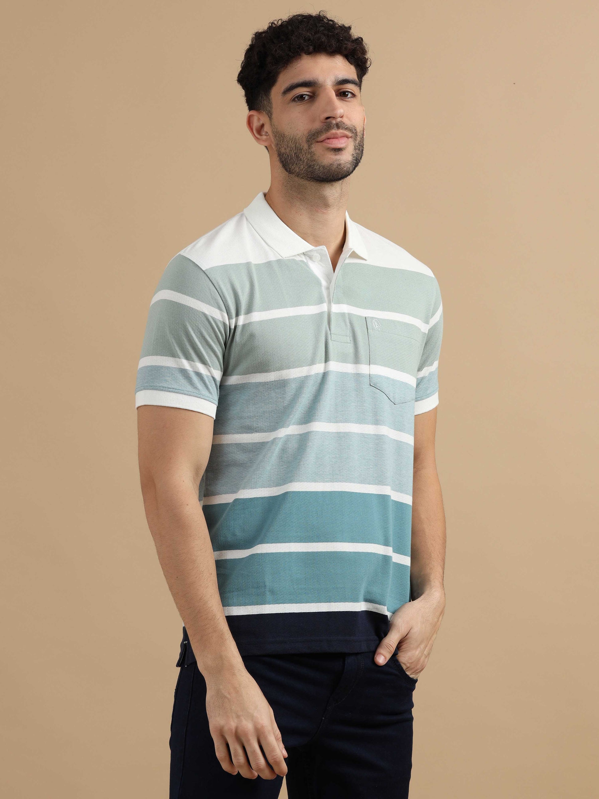 Blue Polo Striped T Shirt