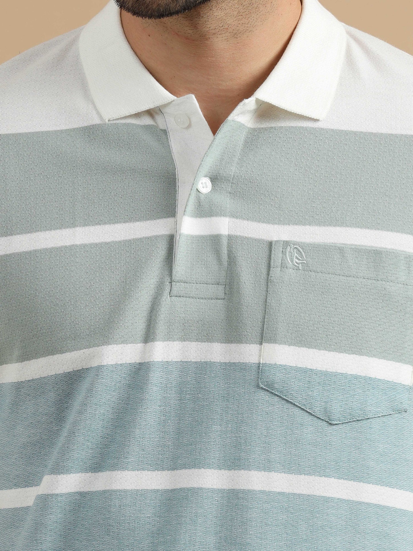 Blue Polo Striped T Shirt