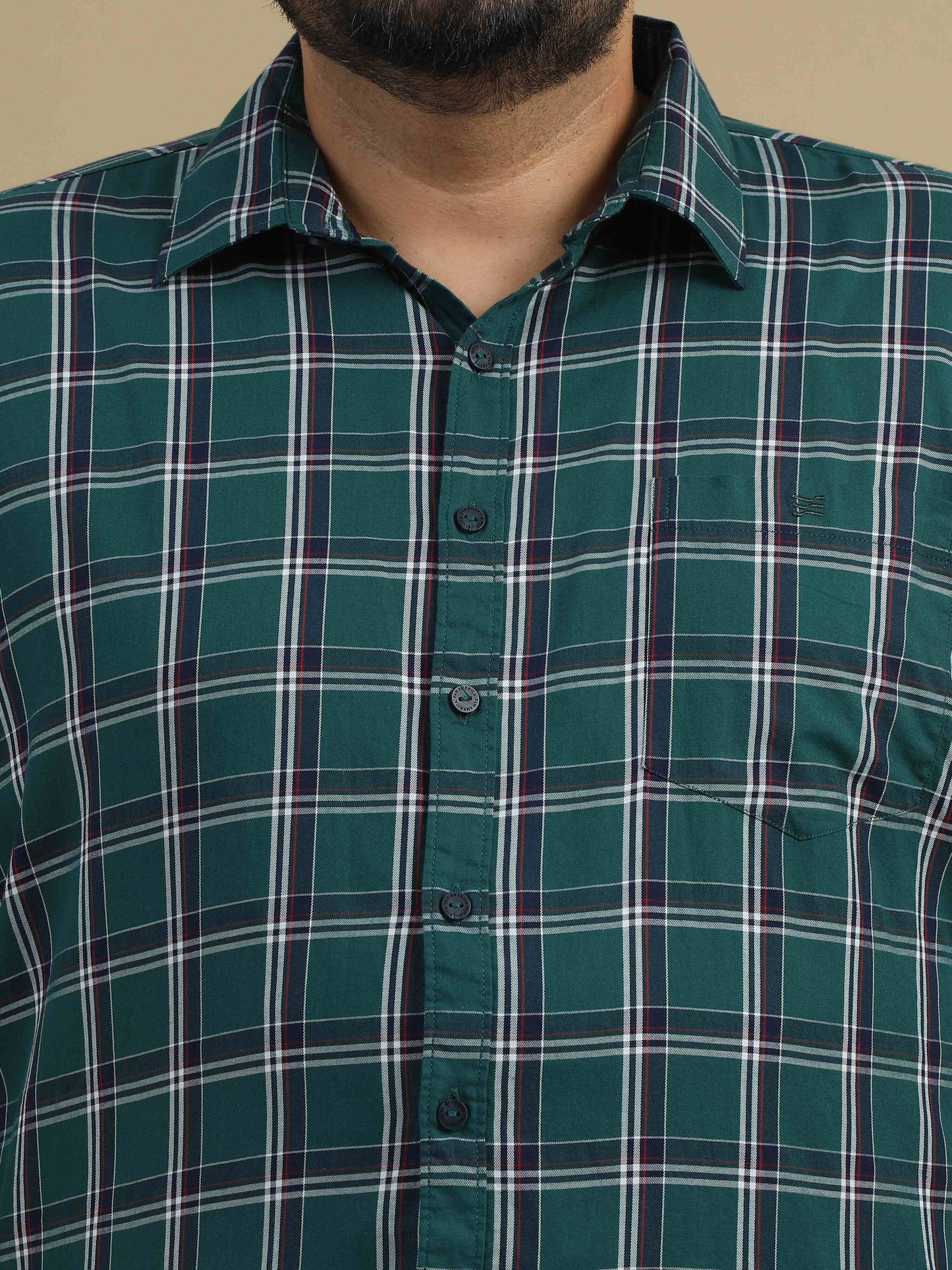 Plus Size Blue & White Check Shirt